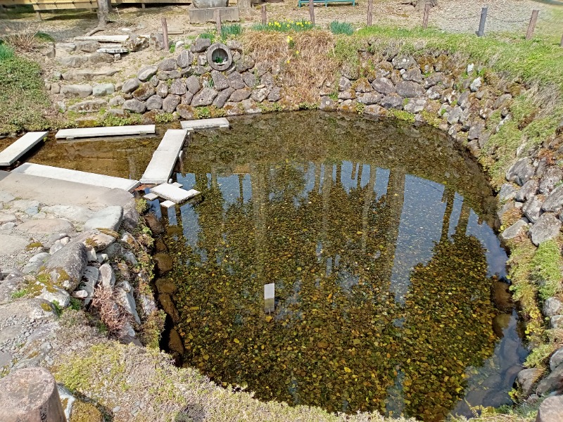 むむむさんの川口温泉 奥羽山荘のサ活写真