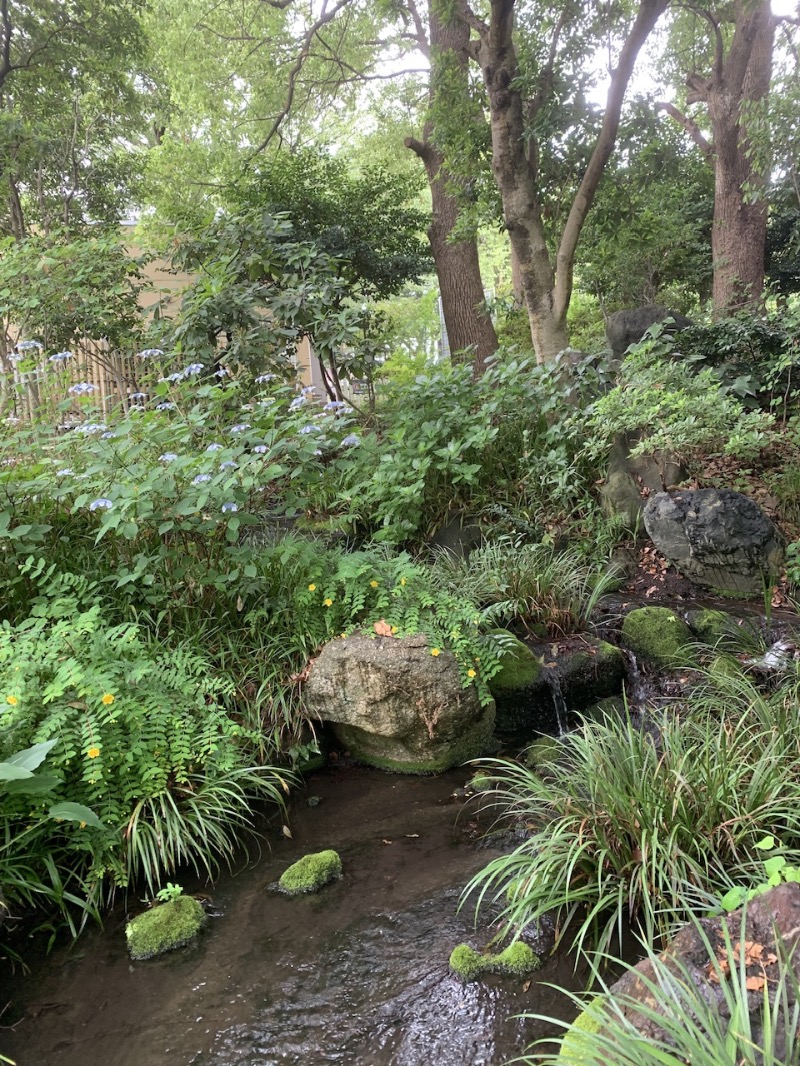 おまきさんの豊島園 庭の湯のサ活写真