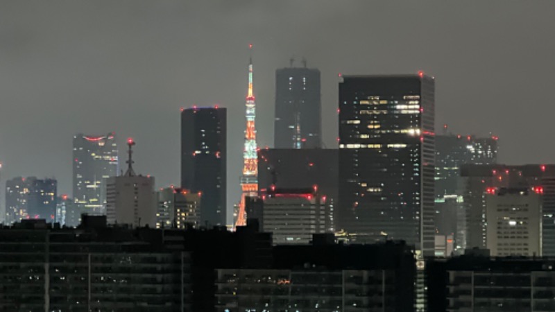 あまみさんのラビスタ東京ベイのサ活写真