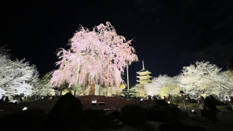 あまみさんの船岡温泉のサ活写真