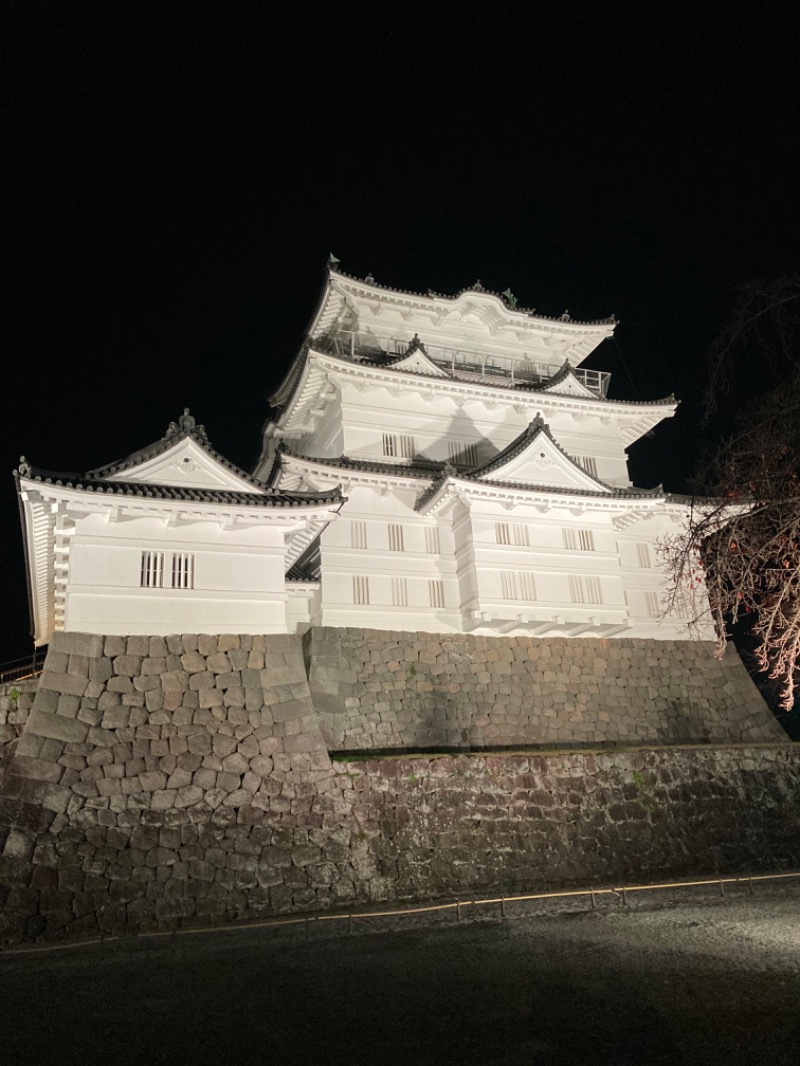 hoppetaomanjuさんの箱根湯寮のサ活写真