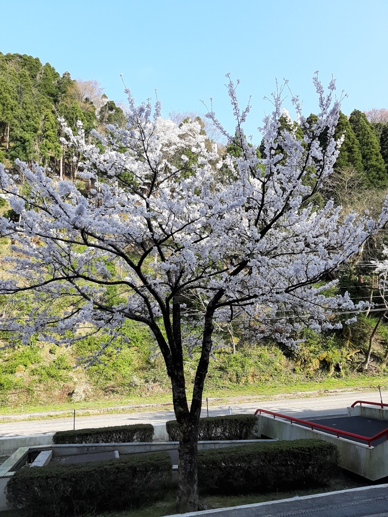 蒸しひろさんの庄川清流温泉 となみ野庄川荘のサ活写真