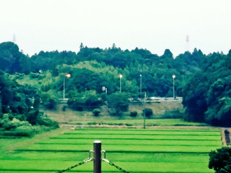 耕の助♪#*さんの酒々井温泉 湯楽の里のサ活写真