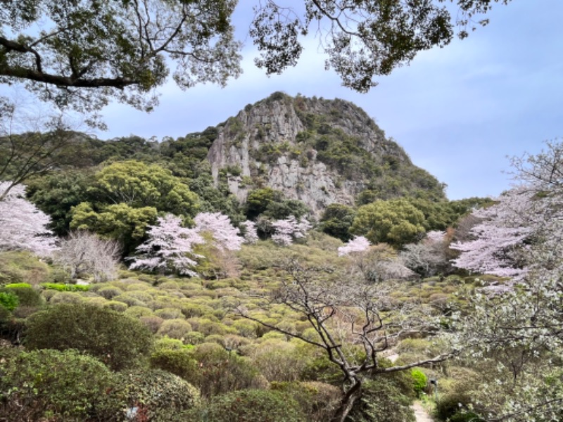 _CONY_さんの御船山楽園ホテル  らかんの湯のサ活写真