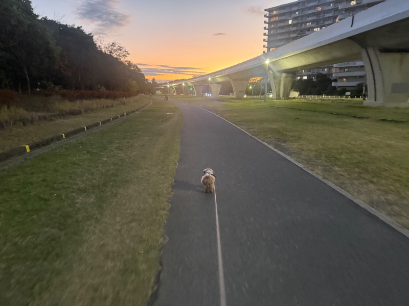 空之輔さんのセントラルウェルネスクラブ能見台のサ活写真