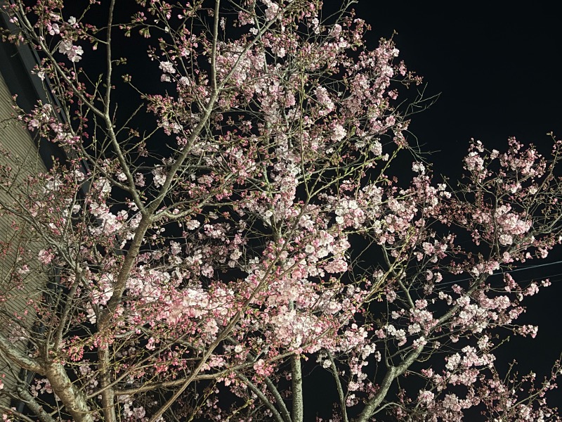 空之輔さんのセントラルウェルネスクラブ能見台のサ活写真