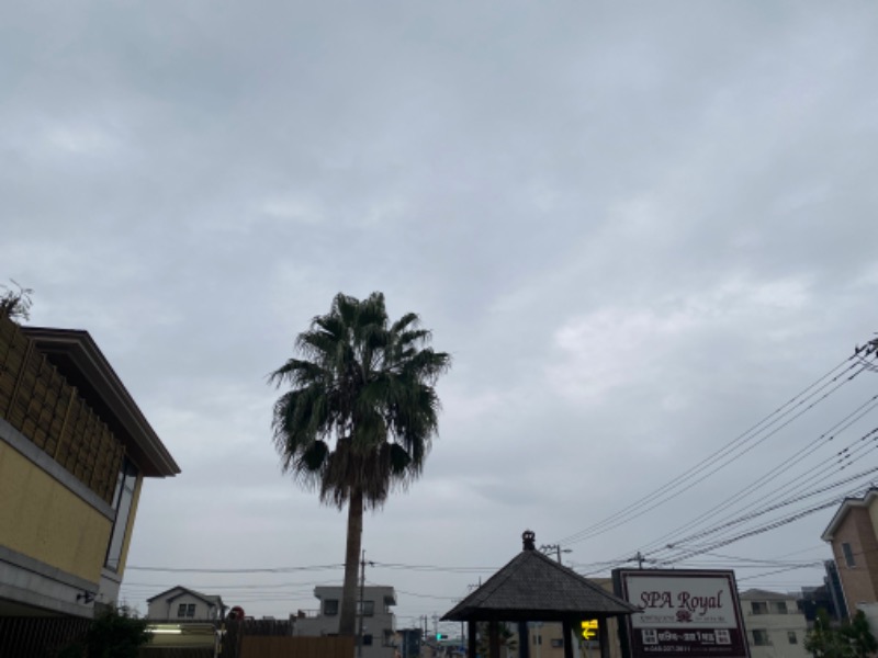 レツさんの天然温泉 スパロイヤル川口のサ活写真