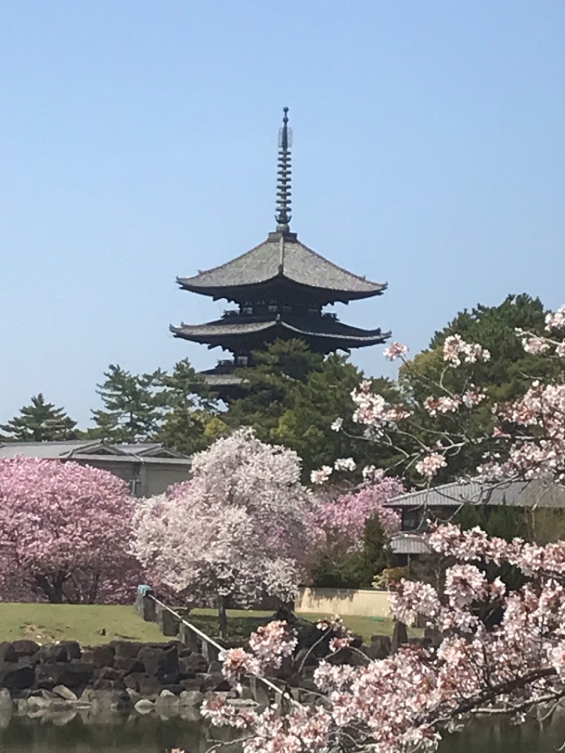 こぐまTHE流星群さんのほてい湯のサ活写真