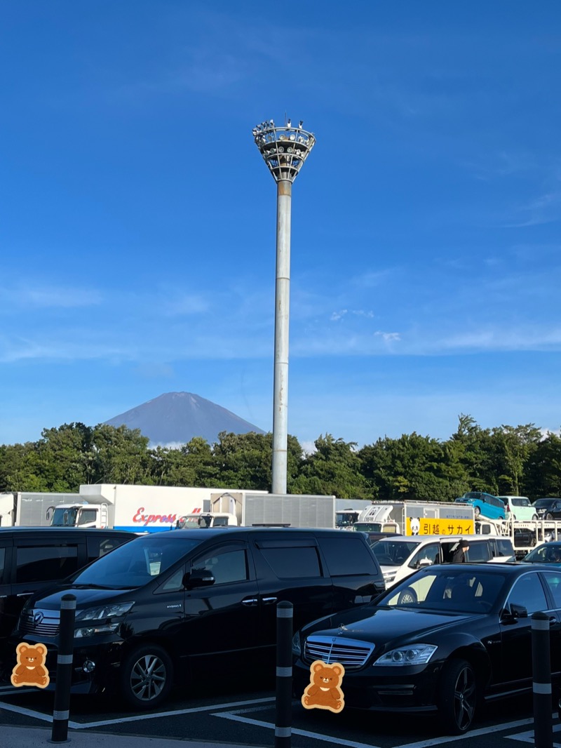 sayakocciさんの足柄浪漫館 あしがら湯のサ活写真