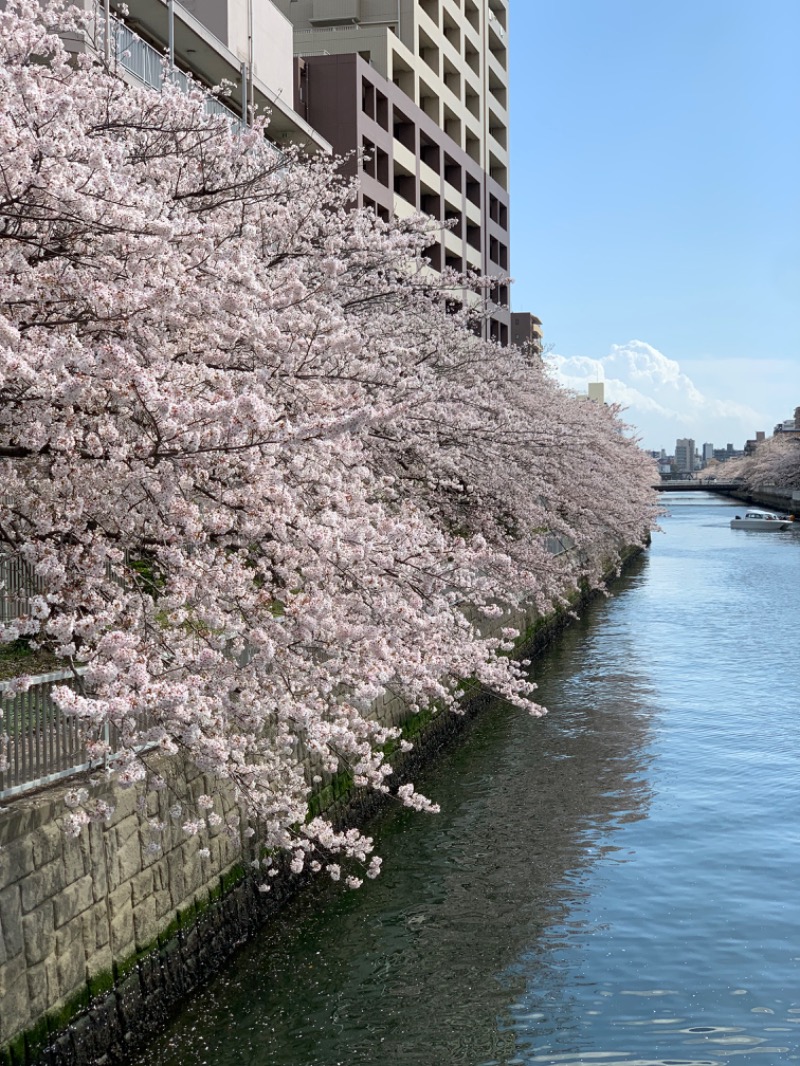 タカこやまさんの深川温泉 常盤湯のサ活写真