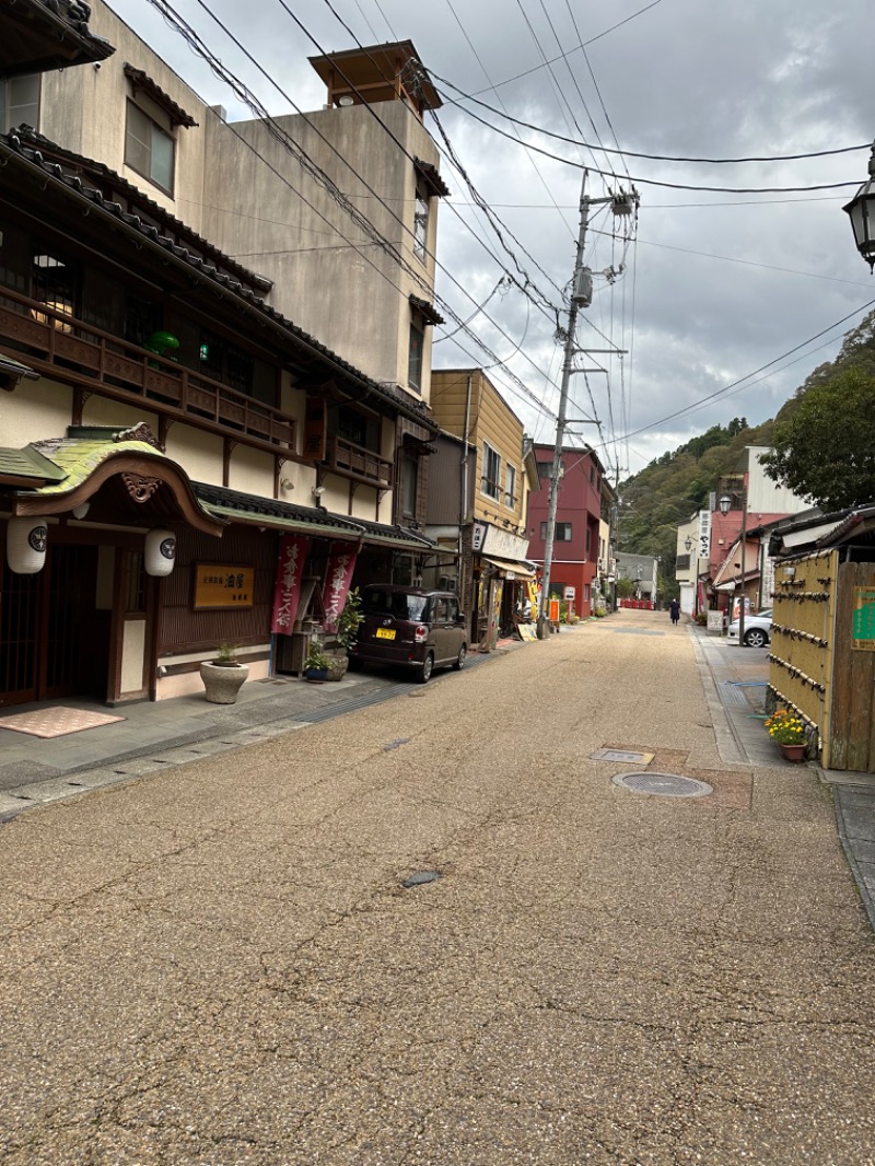 sauna bluesさんの湯原ふれあい交流センター 湯本温泉館のサ活写真