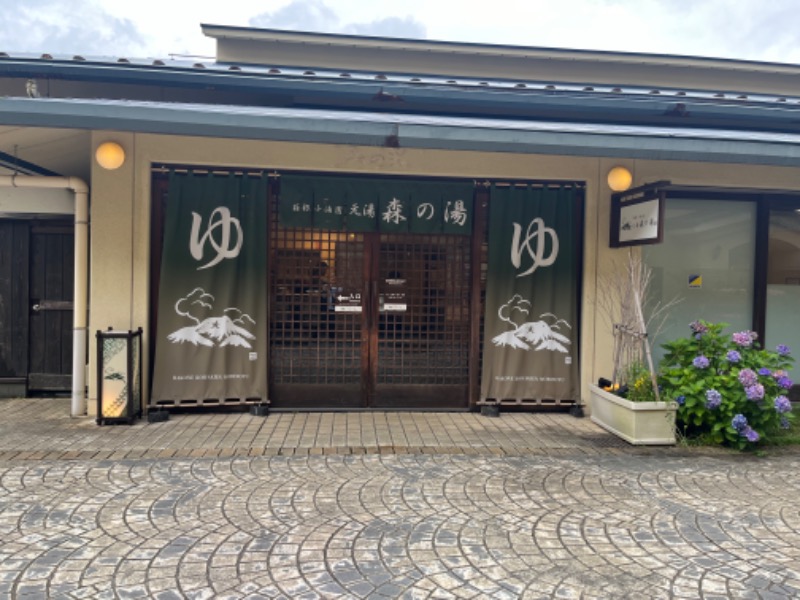 サウナおばさんさんの箱根小涌園 元湯 森の湯 (ユネッサン内)のサ活写真