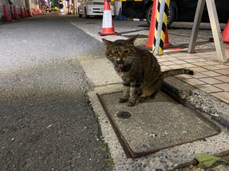 ヨコヨコさんのルビーパレスのサ活写真