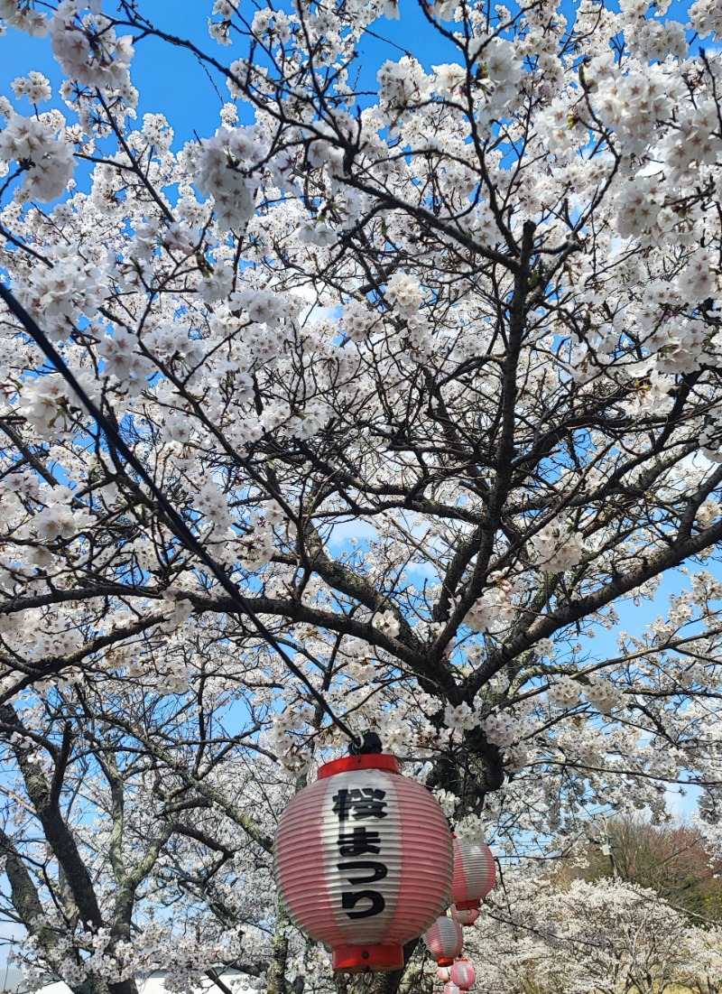 ユエさんの四日市温泉 おふろcafé 湯守座のサ活写真