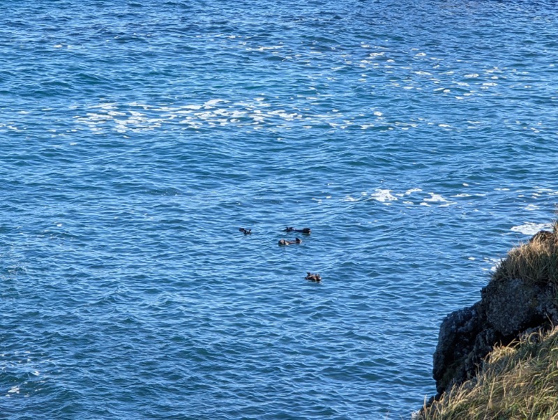 まつくさんの浜中町ふれあい交流・保養センター 霧多布温泉 ゆうゆのサ活写真