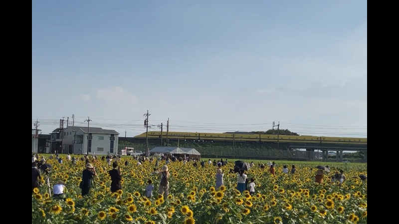 てるきちさんの大垣天然温泉 湯の城のサ活写真