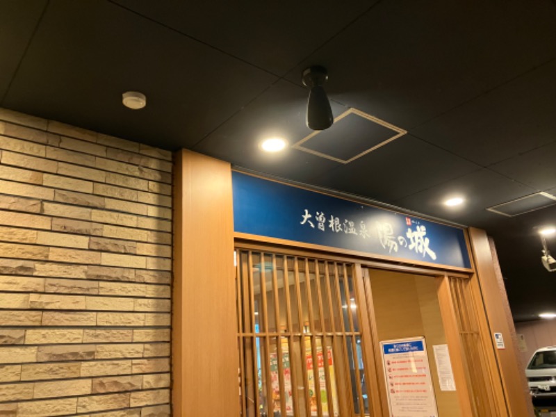 てるきちさんの大曽根温泉 湯の城のサ活写真