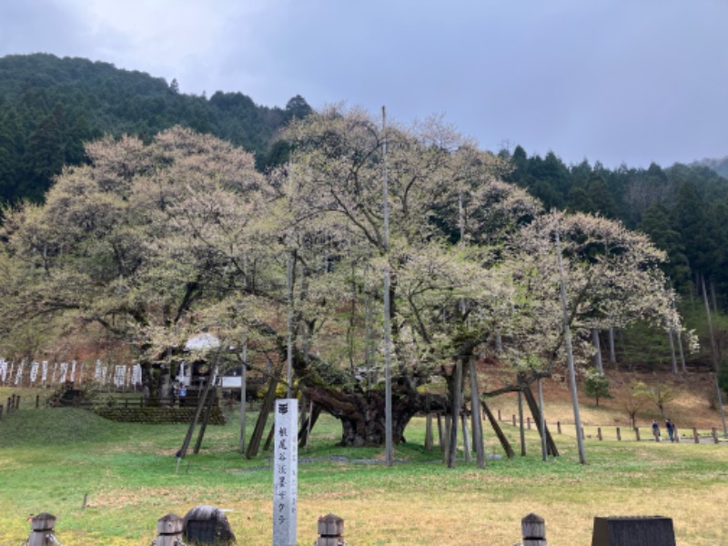 てるきちさんのぬくい温泉のサ活写真