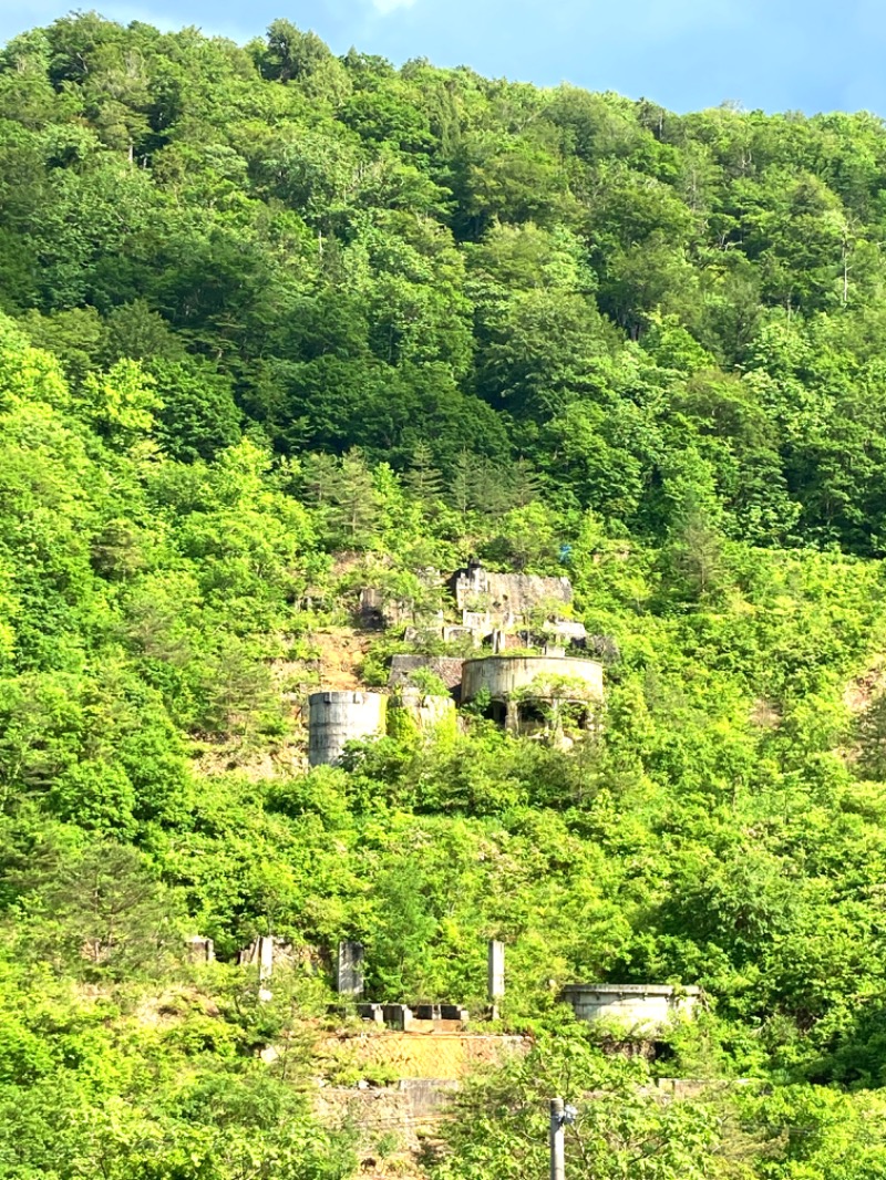 蒸しパンダさんの高繁旅館のサ活写真