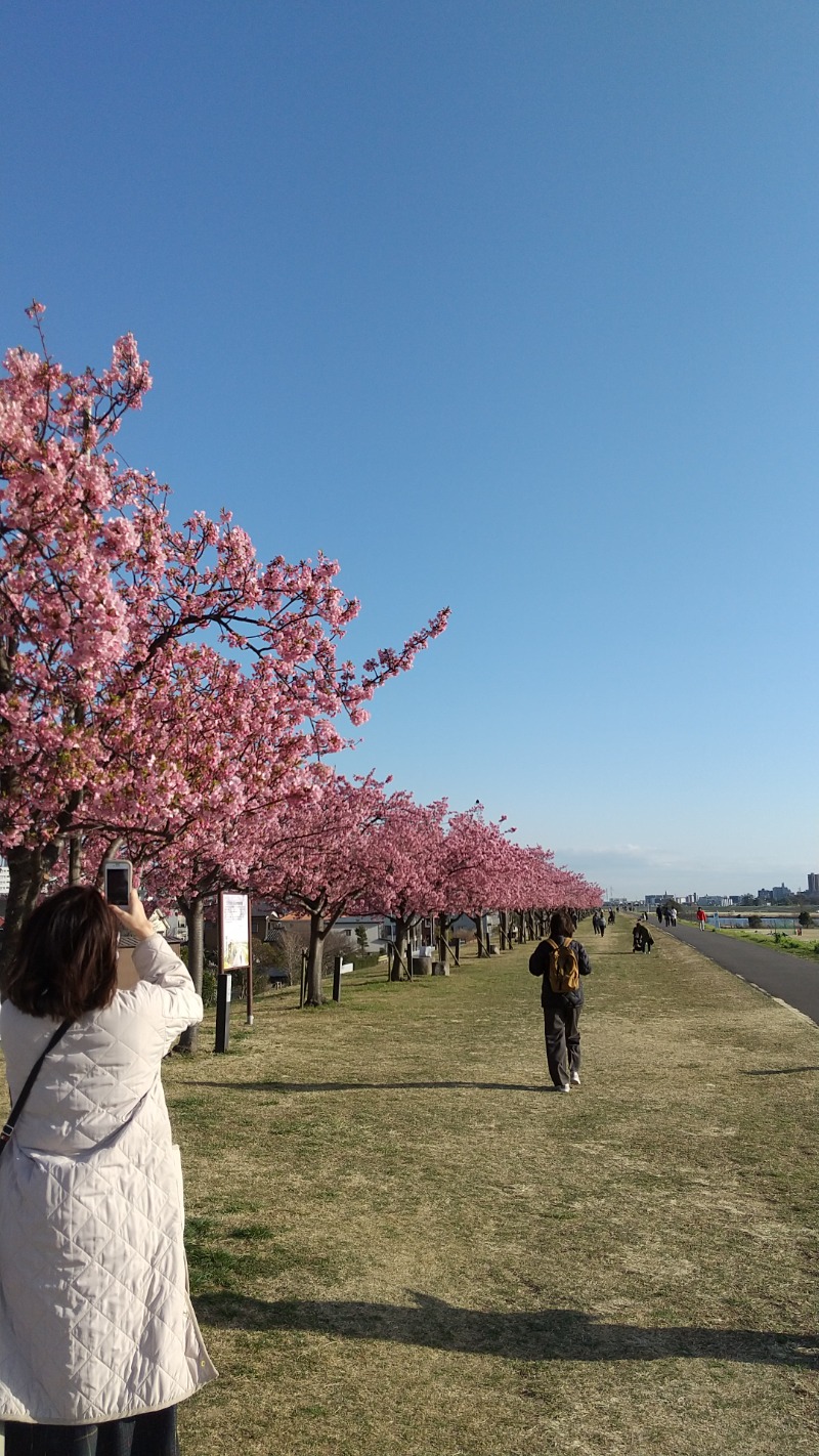 たかひるさんのクリーンスパ市川のサ活写真