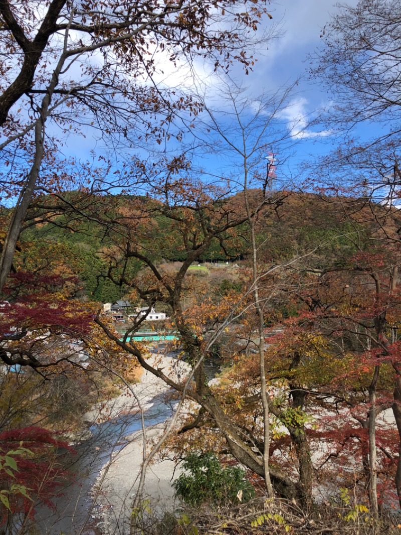 kkさんの秋川渓谷 瀬音の湯のサ活写真