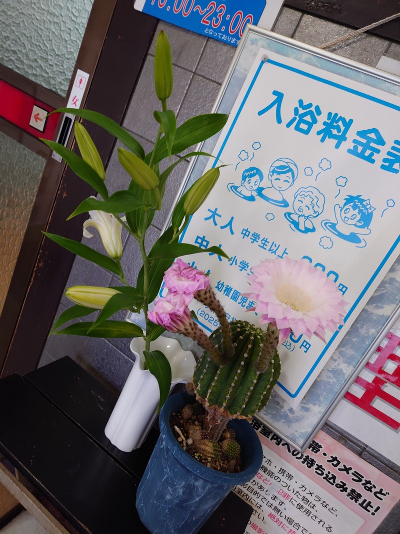 かどや商店さんの七福温泉のサ活写真