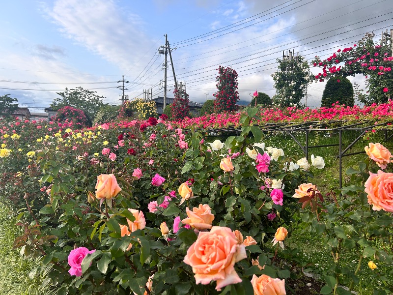 枝豆パンチョさんの湯の駅ぽんぽこのサ活写真