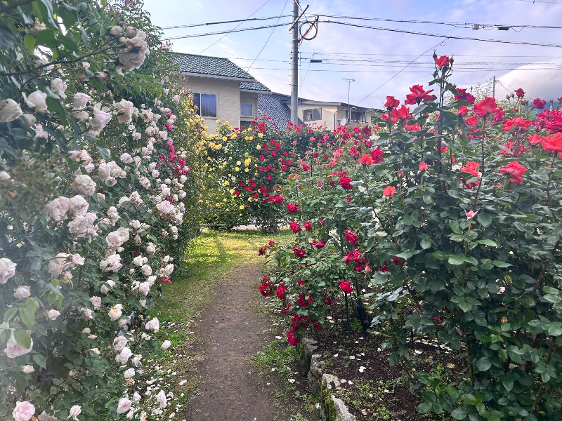 枝豆パンチョさんの湯の駅ぽんぽこのサ活写真
