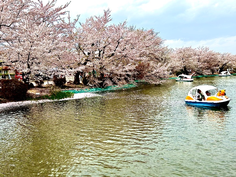 枝豆パンチョさんのおぶせ温泉あけびの湯のサ活写真