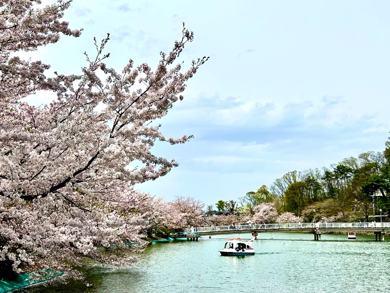 枝豆パンチョさんのおぶせ温泉あけびの湯のサ活写真