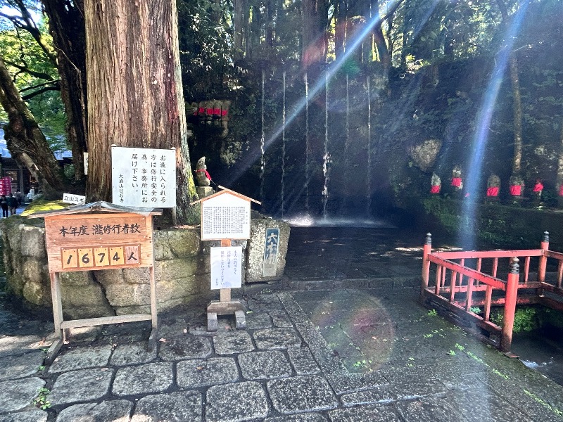 枝豆パンチョさんのスパ・アルプスのサ活写真