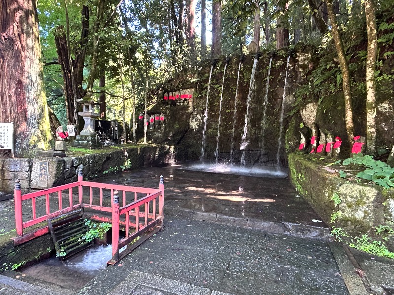 枝豆パンチョさんのスパ・アルプスのサ活写真