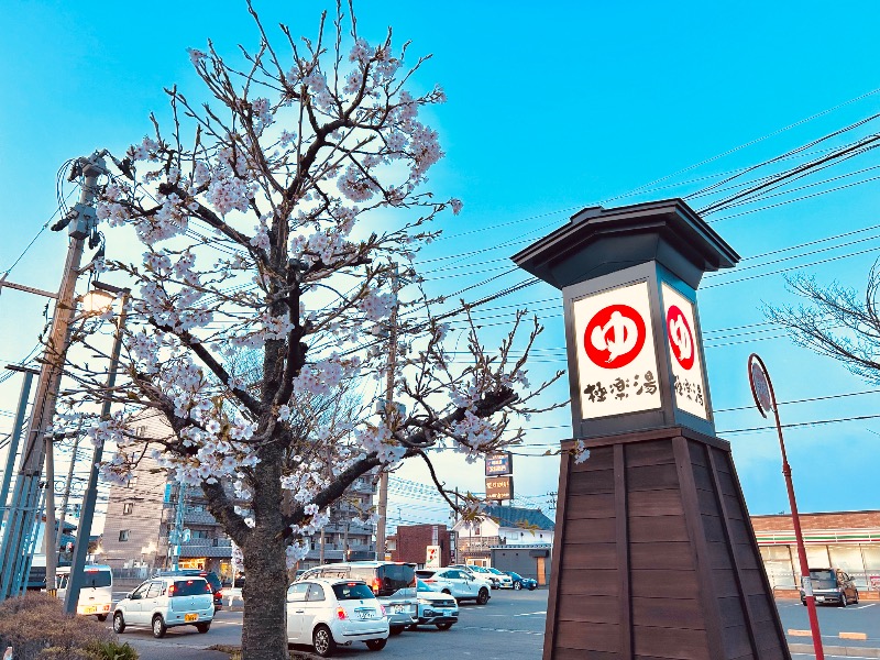 枝豆パンチョさんの極楽湯 女池店のサ活写真
