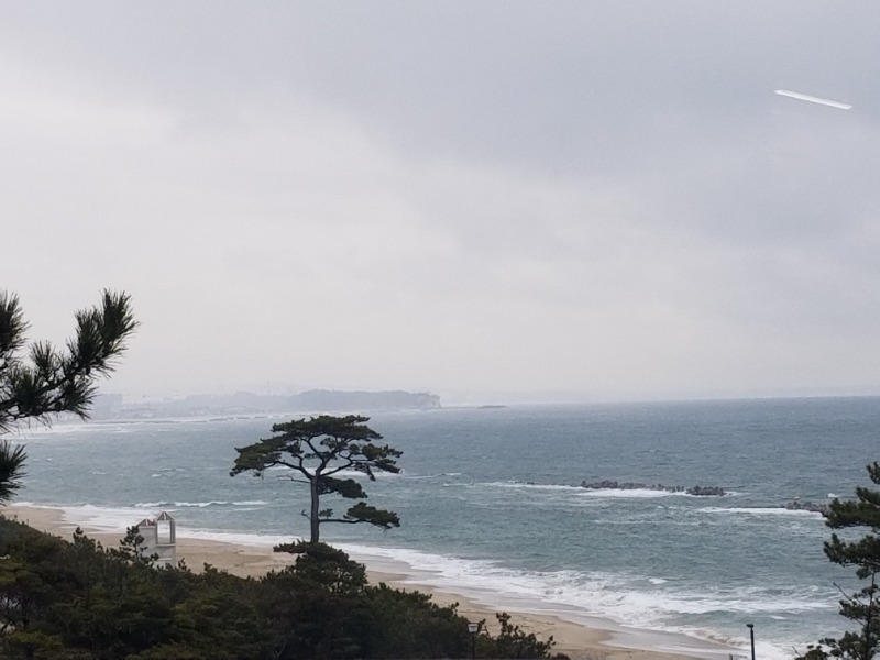 明日にはジョーさんの鵜来来の湯十王のサ活写真