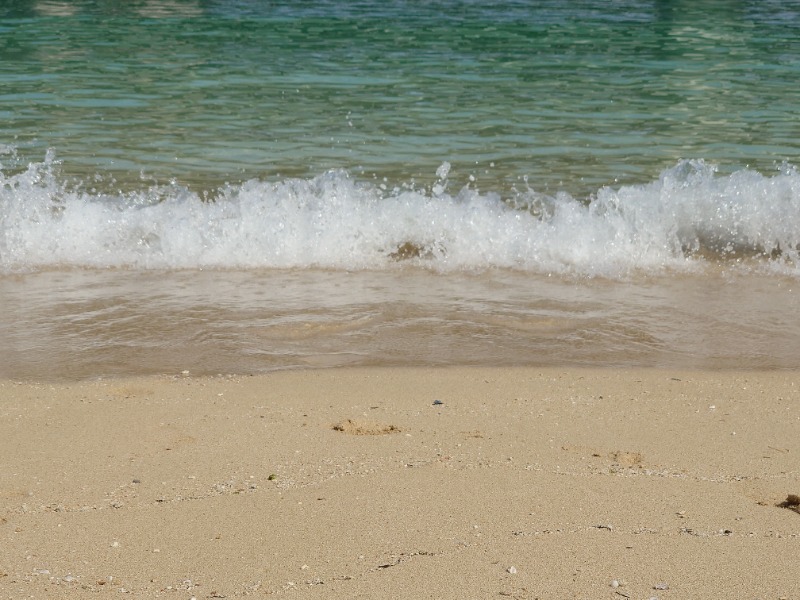 ダグさんのHotel SANSUI Naha 琉球温泉 波之上の湯のサ活写真