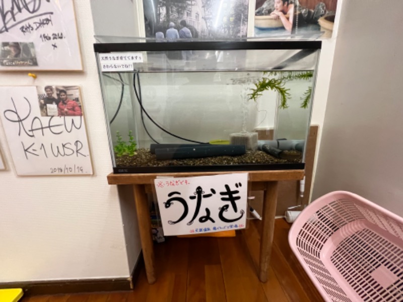 ふえラムネさんの天然温泉 湯どんぶり栄湯のサ活写真