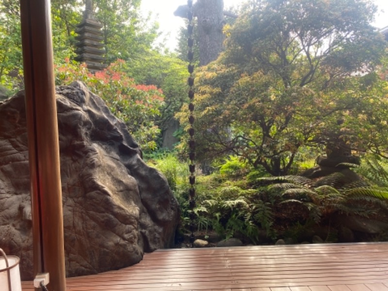 ひらりんさんの深谷花園温泉 花湯の森のサ活写真