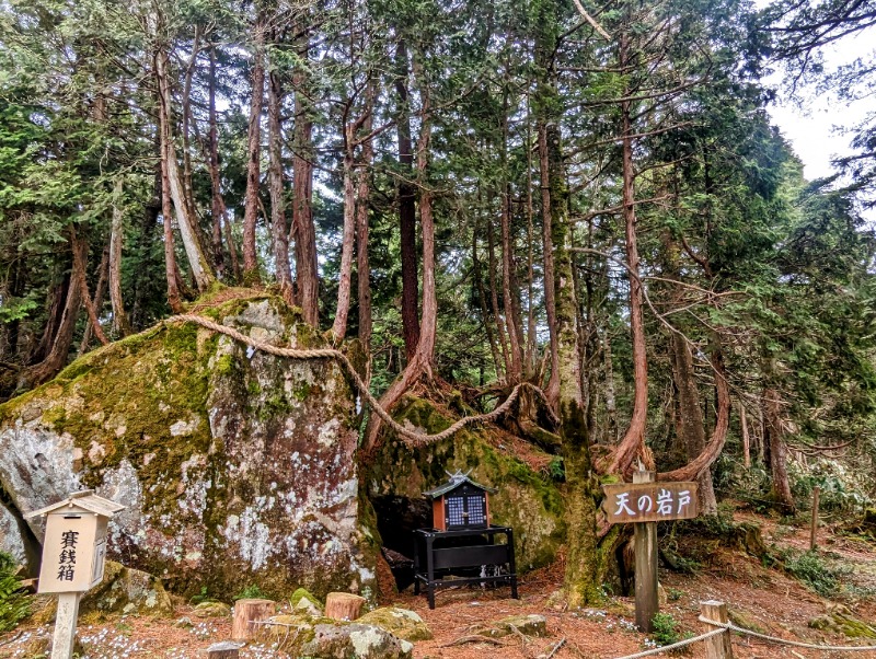 イシレリさんの飛騨高山 自家源泉の湯 臥龍の郷のサ活写真