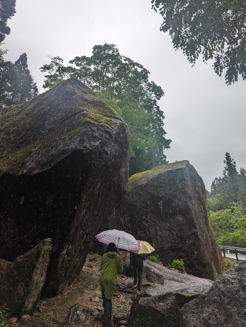 イシレリさんの飛騨高山 自家源泉の湯 臥龍の郷のサ活写真