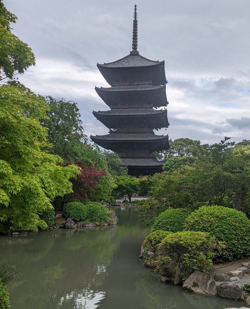 イシレリさんのサウナの梅湯のサ活写真