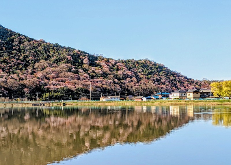 イシレリさんの野天風呂 あかねの湯 龍野店のサ活写真