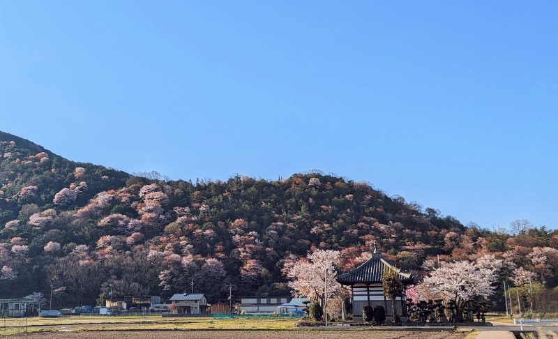 イシレリさんの野天風呂 あかねの湯 龍野店のサ活写真