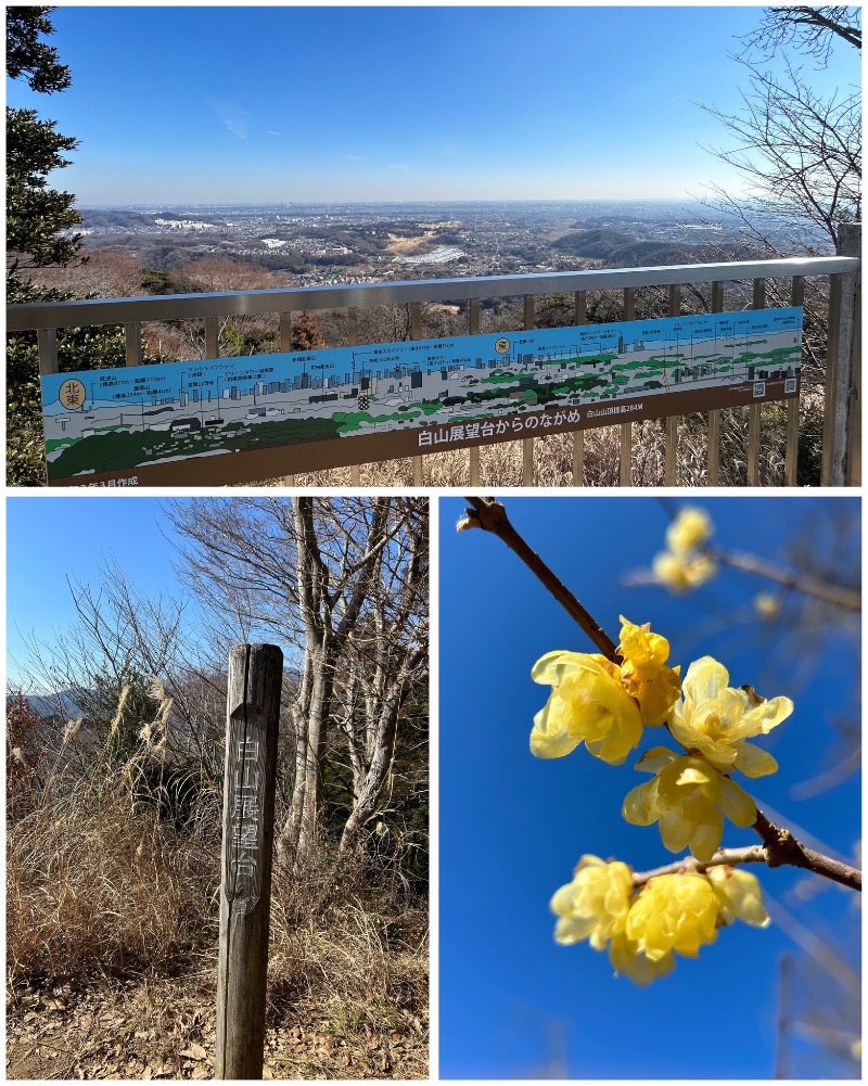 Mさんの湯の泉 東名厚木健康センターのサ活写真