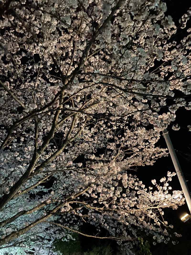 エレバさんの熊の川温泉 ちどりの湯のサ活写真