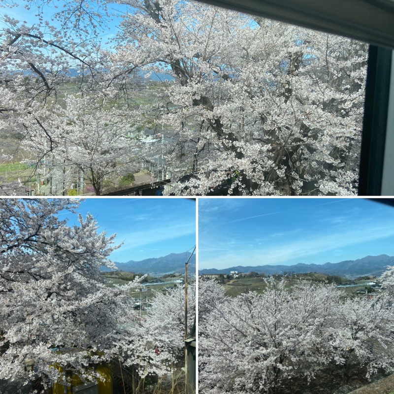 だいふくさんの正徳寺温泉初花のサ活写真