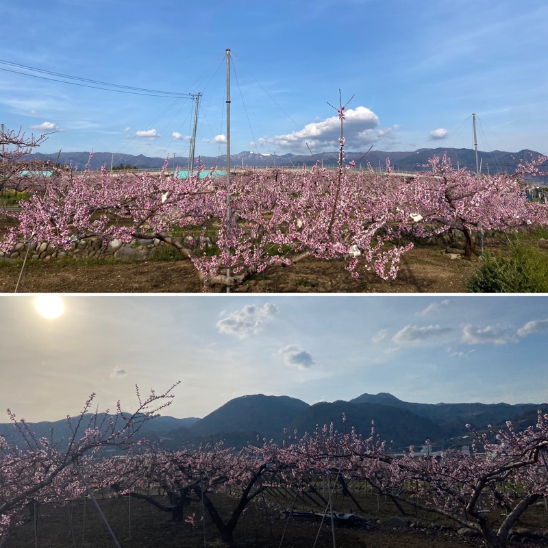 だいふくさんの正徳寺温泉初花のサ活写真