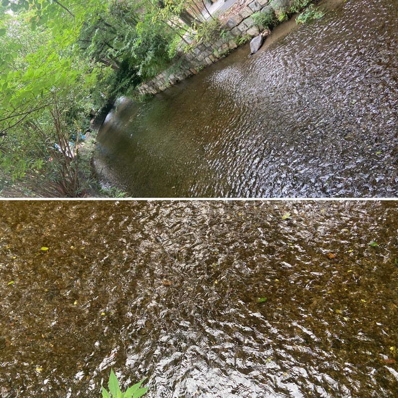 だいふくさんのサウナの梅湯のサ活写真