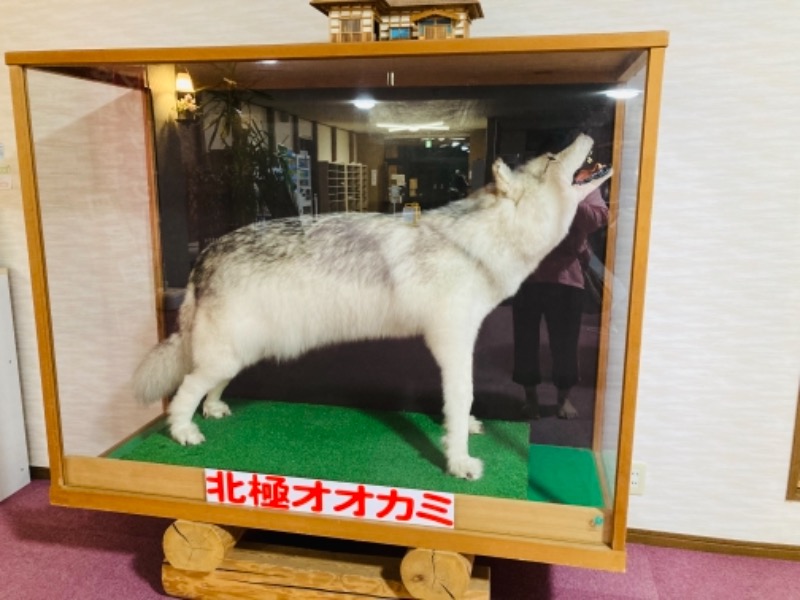 はにわさんのおおびらき温泉のサ活写真