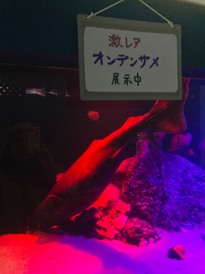 はにわさんの八戸銭湯 オールウェイズのサ活写真