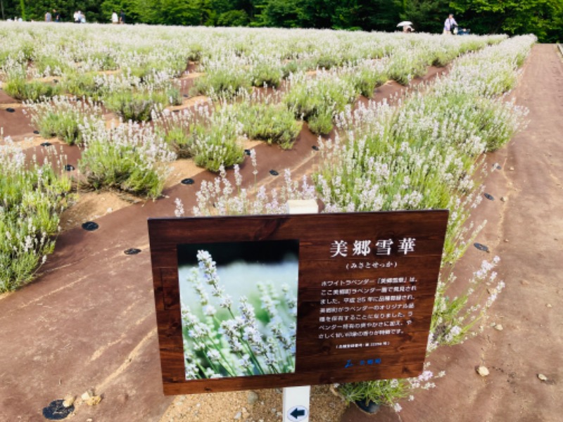 はにわさんのルートイングランティア秋田SPA RESORT(スーパー健康ランド 華の湯)のサ活写真